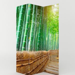 BIOMBO CAMINO DE BAMBÚ