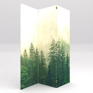 BIOMBO BOSQUE DE PINO