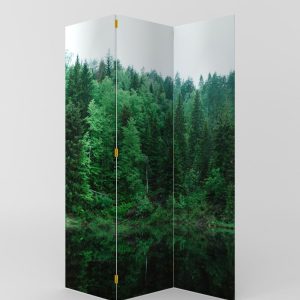 BIOMBO BOSQUE DE PINOS