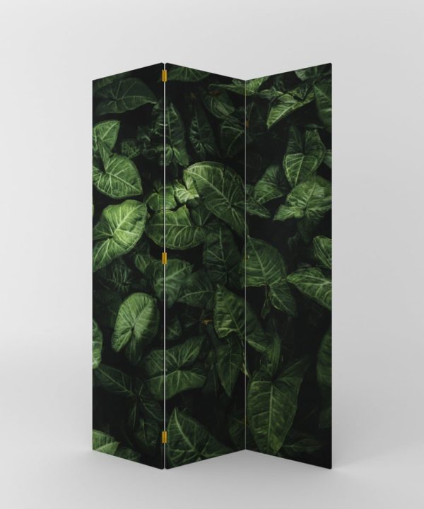 BIOMBO TROPICAL VERDE
