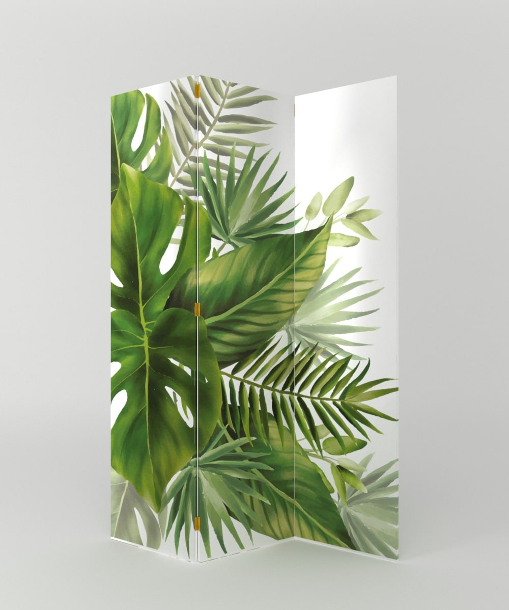 BIOMBO TROPICAL HOJAS VERDES