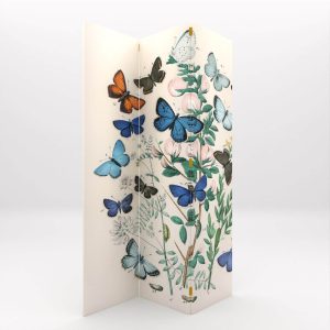 BIOMBOS MARIPOSAS