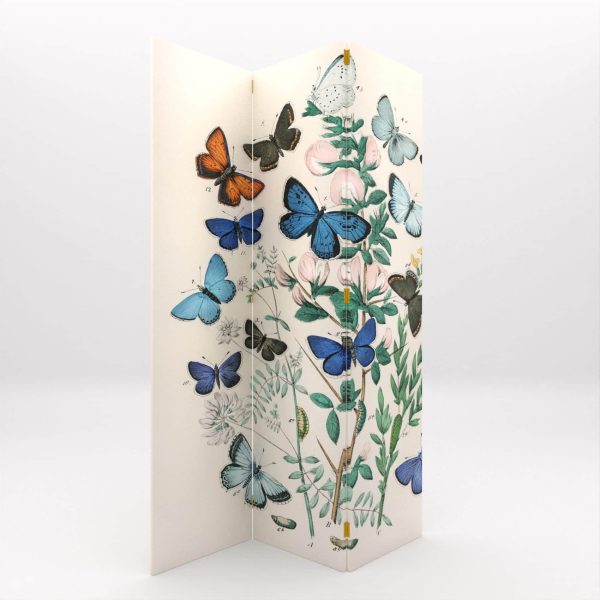 BIOMBOS MARIPOSAS