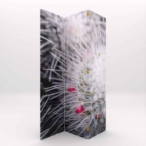 BIOMBO CACTUS