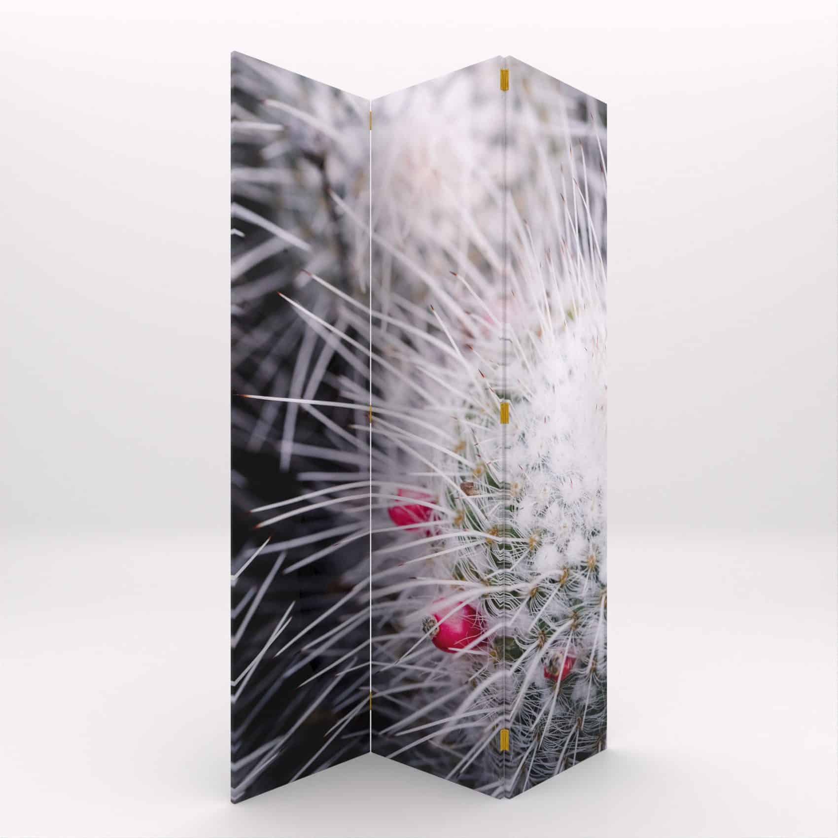 BIOMBO CACTUS